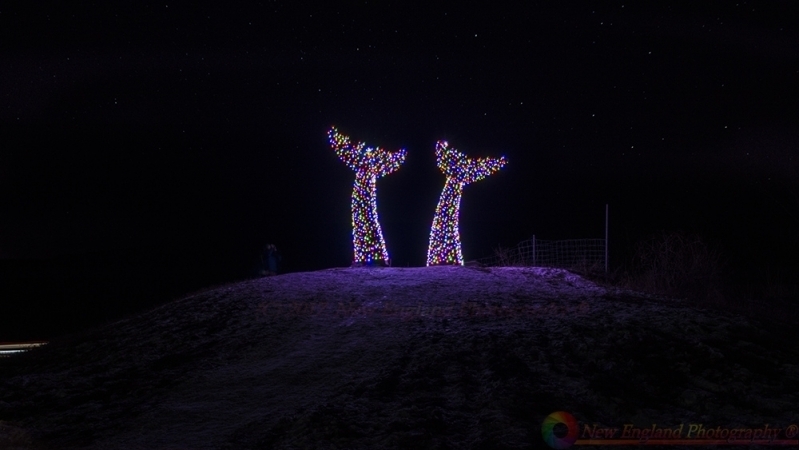Burlington Whale Tails 12-24-2016-127-NEP