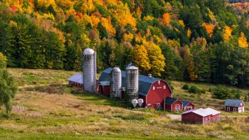 Hillside-Acres-Farm-Barnet-Vermont-October-4-2022-26