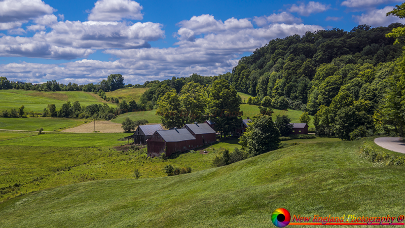 Jenne Farm -16
