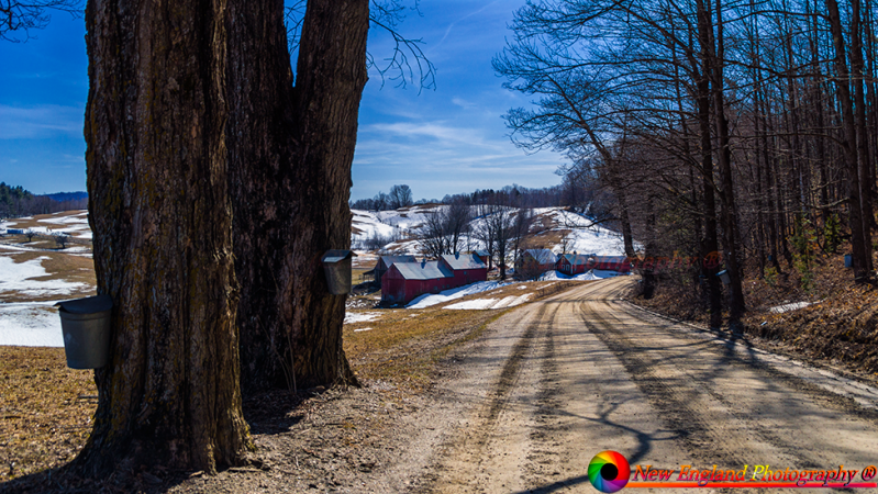 Jenne-Farm-3-27-2018-5