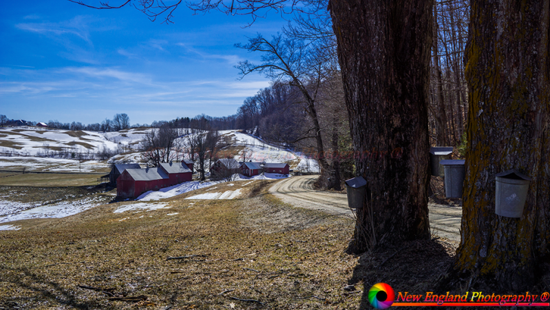 Jenne-Farm-4-10-2014-11-Edit