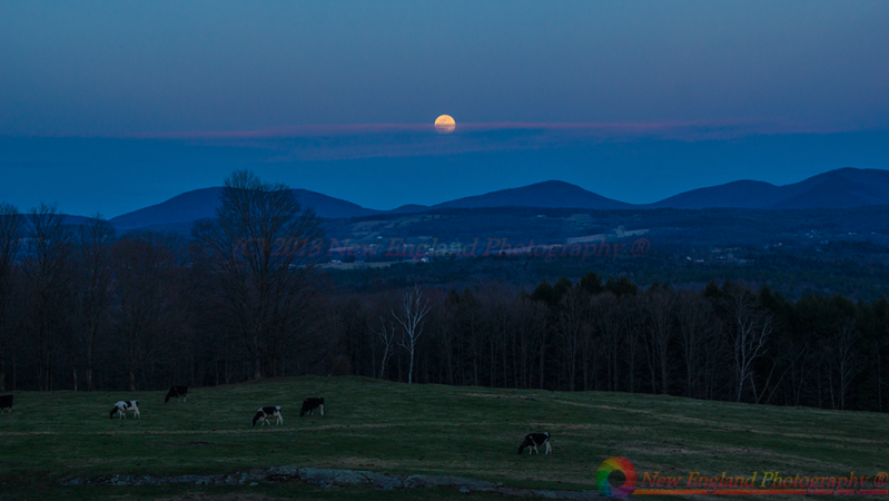 MISC-Vermont-4-28-2018-115-NEP