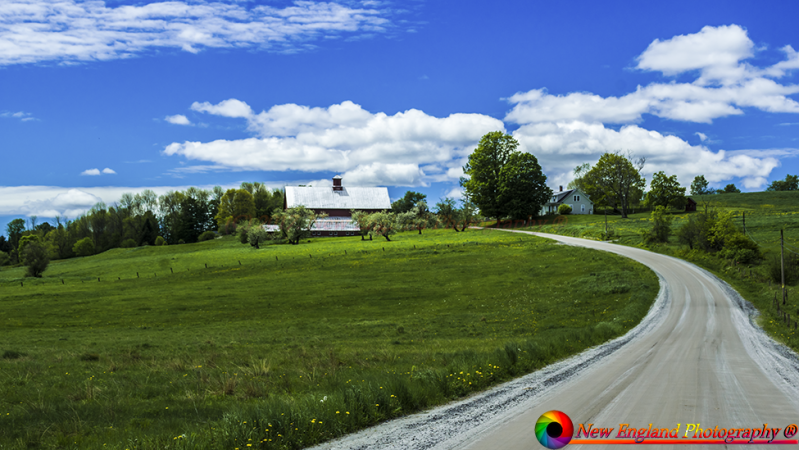 Montpelier Farms -151