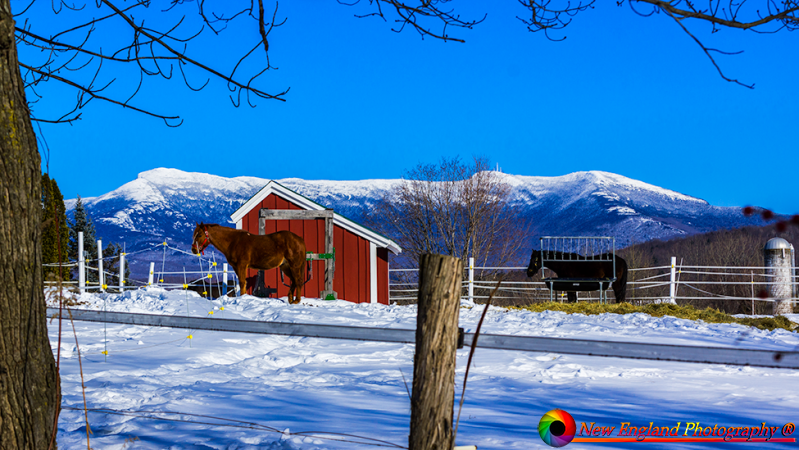 Mount-Mansfield-Vermont-2-22-2020-19