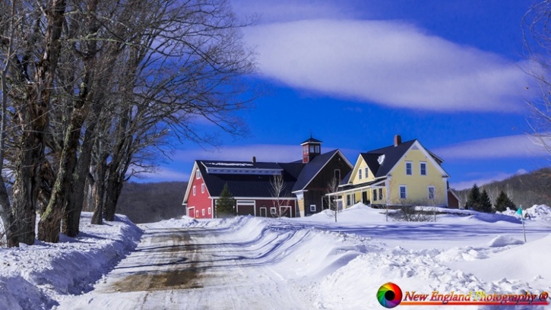 North-Danville-Vermont-Farms-3-4-2021-17