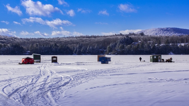 Northeast-Kingdon-2-4-2021-15