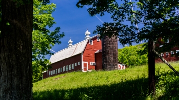 Pomfret-Flats-Farm-6-8-2026-12-Edit