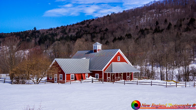 Reading-Vermont-3-3-2014-1