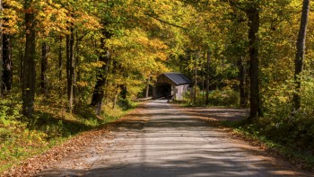 Seguin-Covered-Bridge-9-29-2025-7