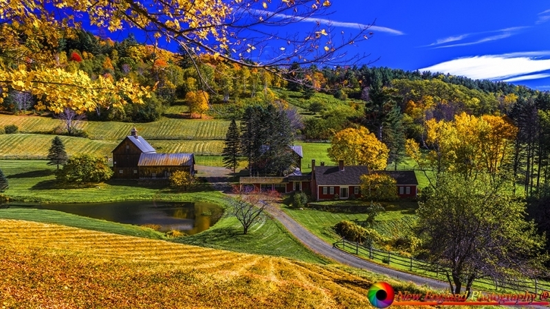 Sleepy Hollow Farm 10-18-2018-7 NEP