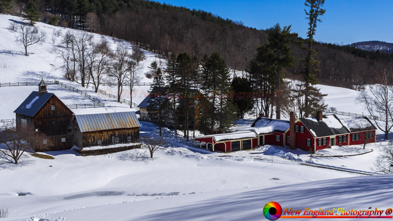 Sleepy-Hollow-Farm-3-16-2017-114