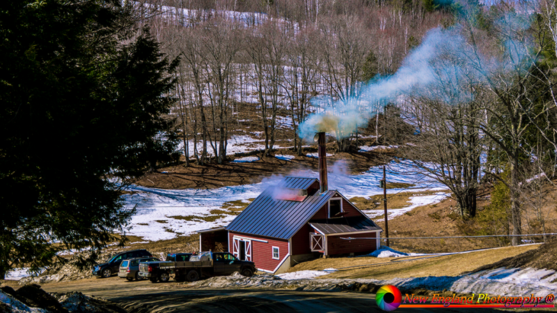Springbrook-Farms-Sugarhouse-4-10-2014-7