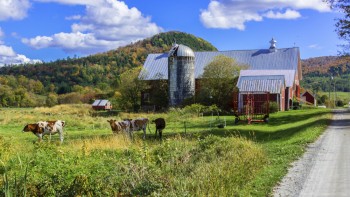 Tunbridge-Vermont-Covered-Bridges-9-26-2025-42