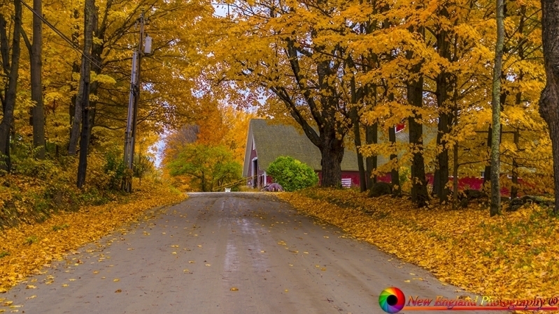Vermont 10-21-2016-55 NEP