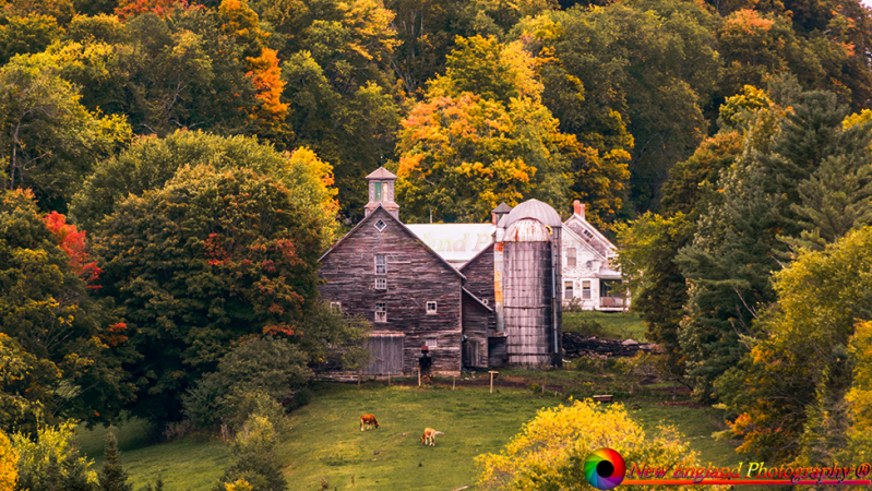 Vermont-9-30-2018-14-NEP