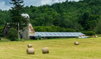 Willimstown-Vermont-7-2-2024-6