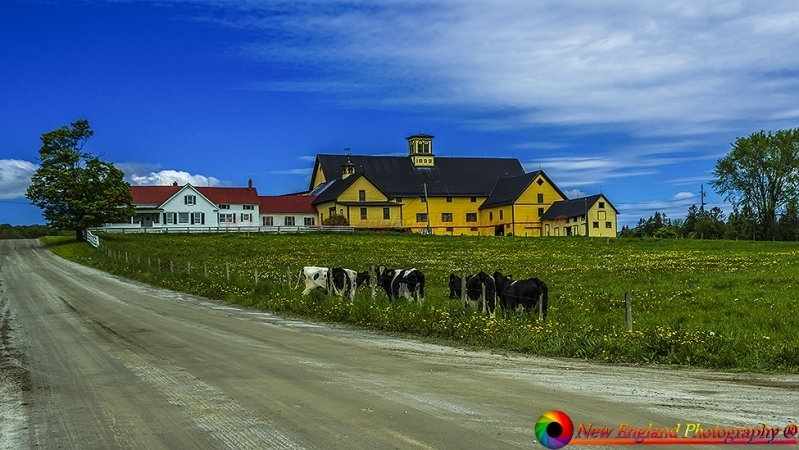 tn_Montpelier Farms 5-27-2017-132