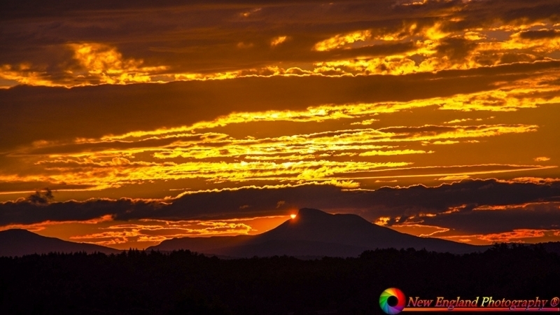 tn_VT 7-30-2013-1