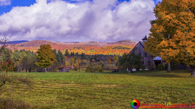 tn_Vermont Foliage A55 10-17-2015-94