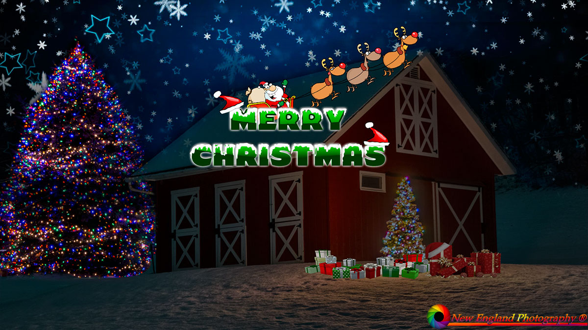 NEP Merry XMAS V2021 NEP