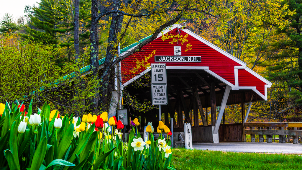 Jackson Covered Bridge 5 11 2018 39 1024x576 1